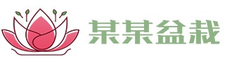 华体会在线-华体会在线（中国）